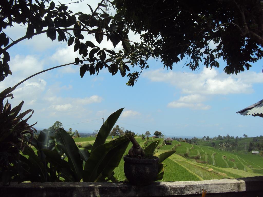 Ferienwohnung Teras Subak Jatiluwih Exterior foto