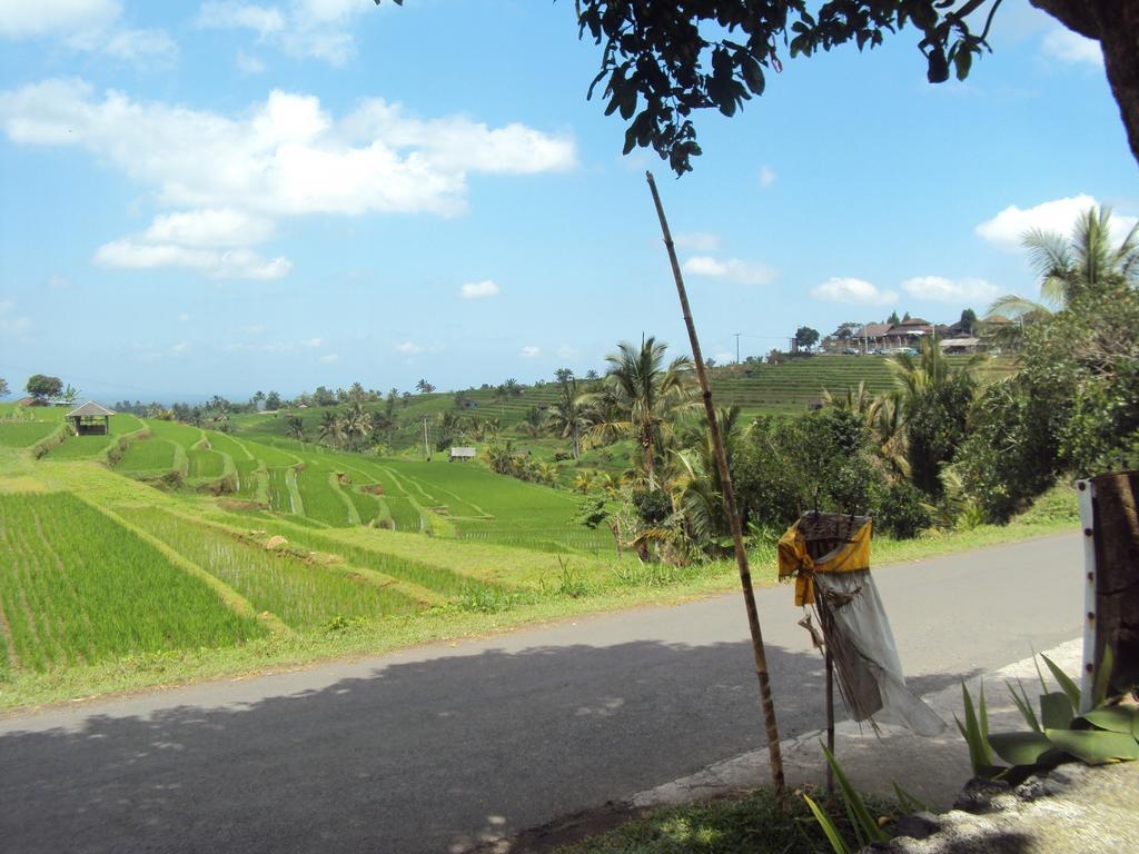 Ferienwohnung Teras Subak Jatiluwih Exterior foto