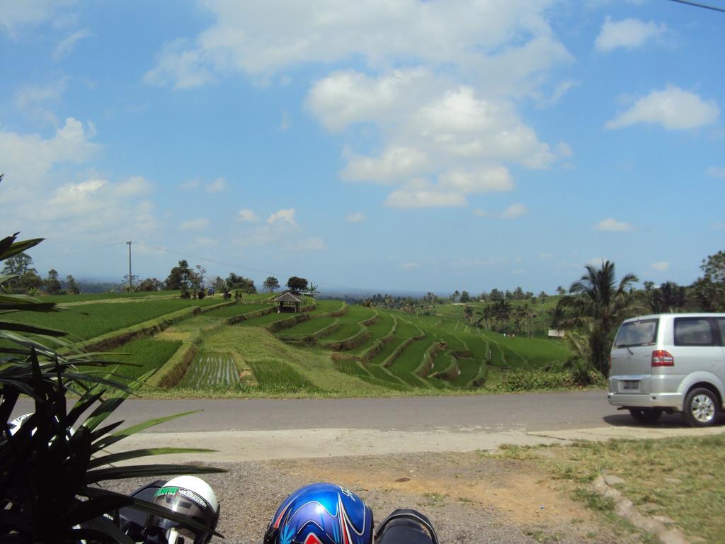 Ferienwohnung Teras Subak Jatiluwih Exterior foto