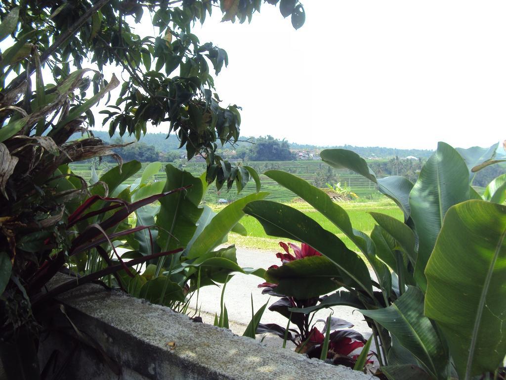 Ferienwohnung Teras Subak Jatiluwih Exterior foto