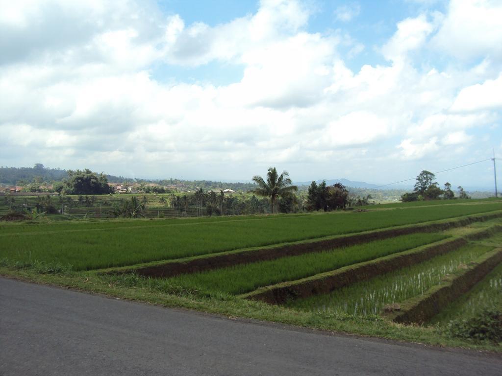 Ferienwohnung Teras Subak Jatiluwih Exterior foto