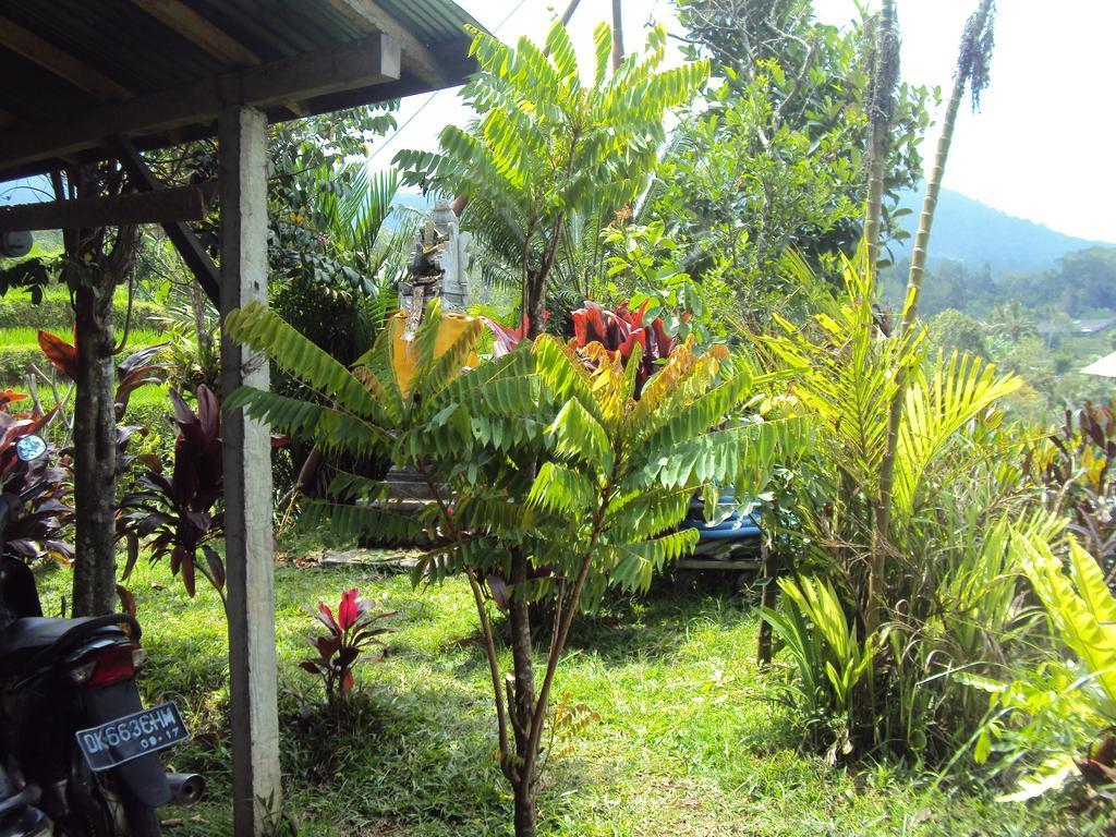 Ferienwohnung Teras Subak Jatiluwih Exterior foto